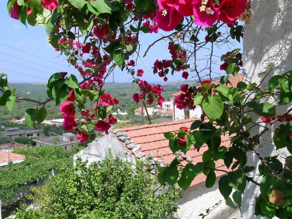 Fenareti Village House Makhairoi Экстерьер фото